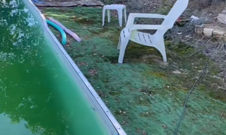 Terrasse bois Douglas autour d'une piscine à Saint Privat des Vieux 